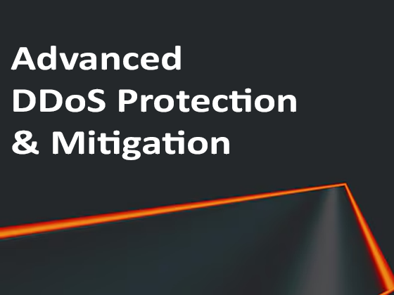 Comprehensive DDoS Protection