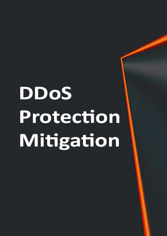 DDoS Protection Service